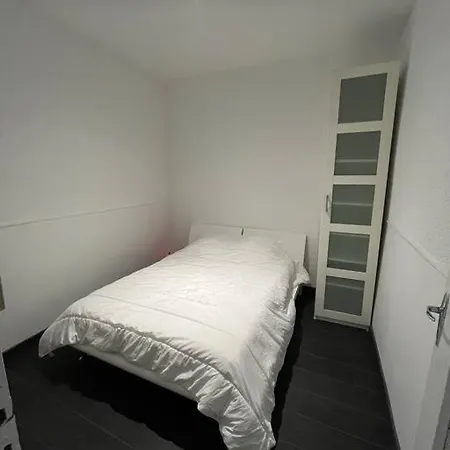 Maison Jaccuzi Et Salle Cinema Lyon